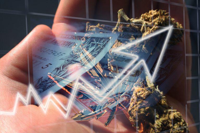 3 Cannabis Start-ups To Watch In 2019