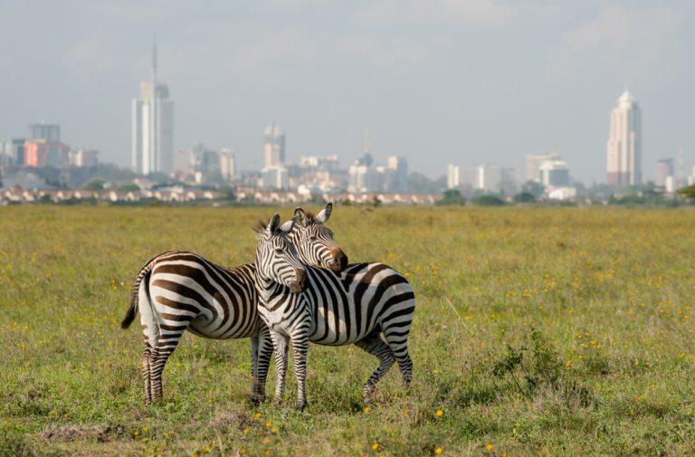 Nairobi: Is it still Africa’s ‘Silicon Savannah’?