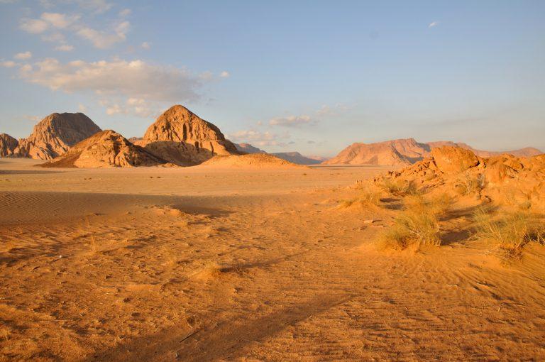 RA International wins government contract and updates on trading