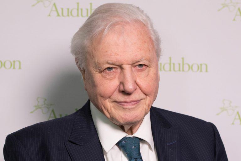 Sir David Attenborough thanks Glastonbury for going plastic-free