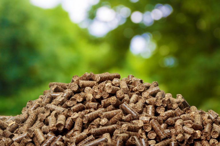 Active Energy shares crash after major biomass project runs into trouble