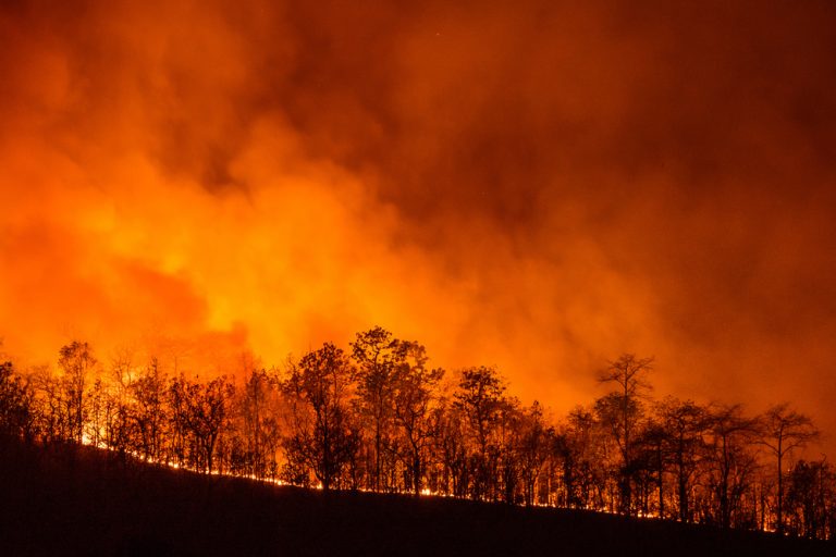 California faces the largest planned power outage of history amid wildfires
