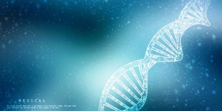 Yourgene shares rise on confident board expectations