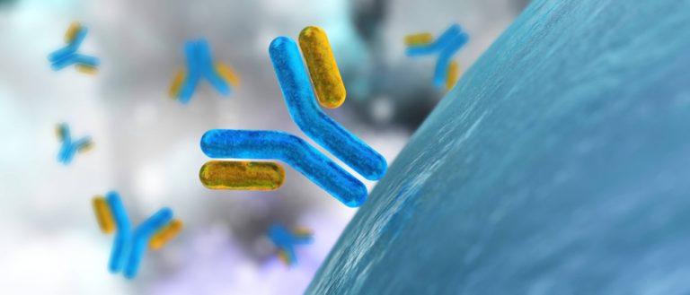 Fusion Antibodies report progress in update, but shares still remain in red