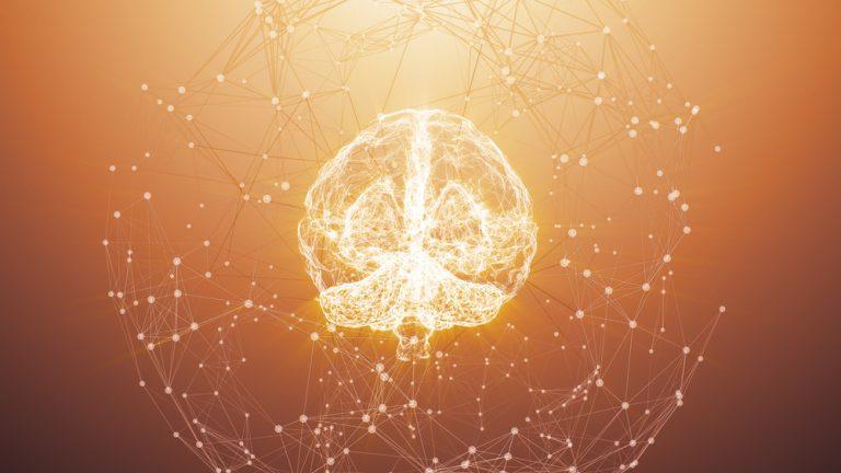 Rosslyn Data shares surge on ‘significant’ contract wins