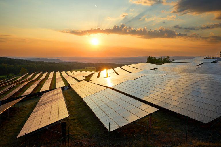 Octopus Renewables continues buy-ups with £53m spend on 14 solar assets
