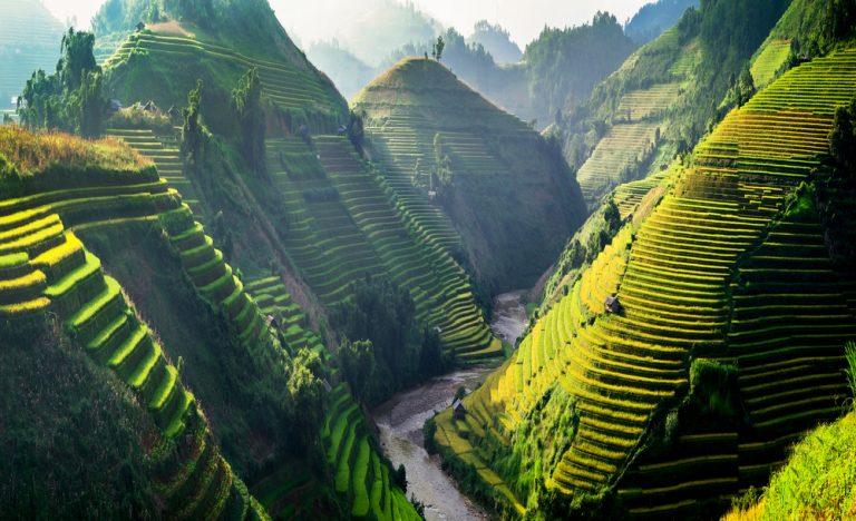 Investing better and ESG with Vietnam Holding Investment Trust