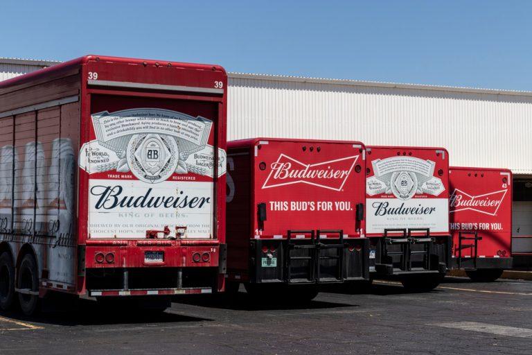 AB InBev scraps dividend despite growth in revenue