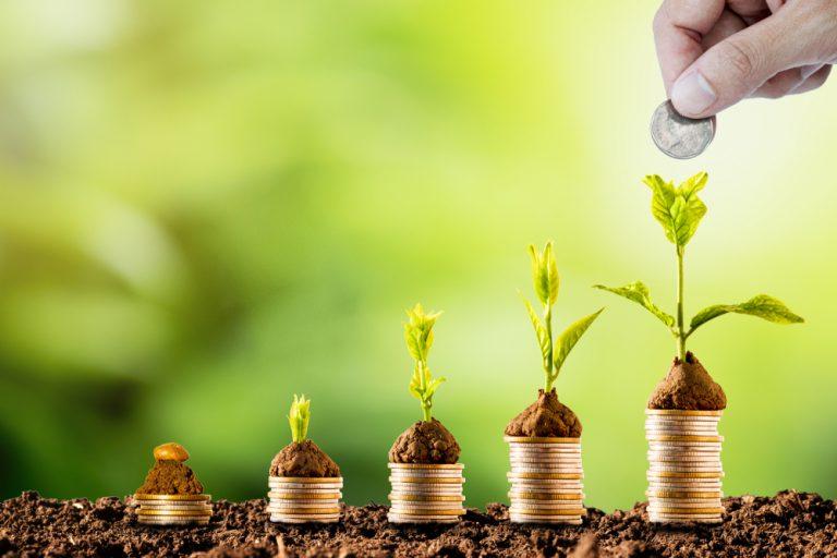 Lombard Odier: Our Natural Capital fund will “deliver strong growth”