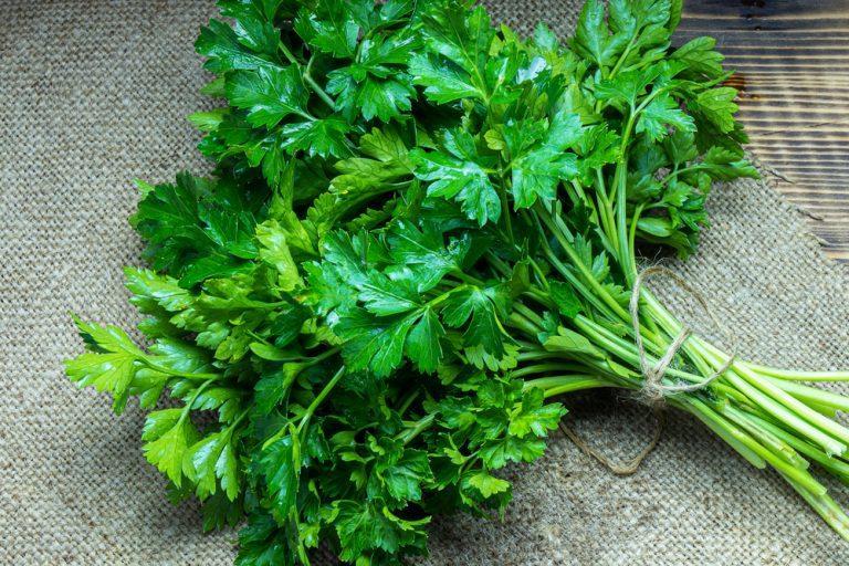Parsley Box off to slow start on AIM