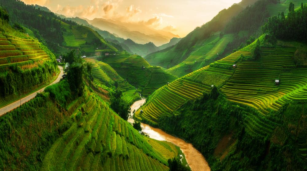 Vietnam Holding ghi nhận mức tăng trưởng ấn tượng trong lĩnh vực số hóa của Việt Nam