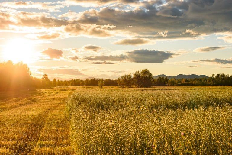 Low Carbon Innovation Fund 2 invests in Outfield Technologies