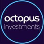 Octopus logo