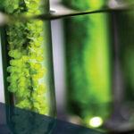 EIS-Funds-VCT-Comparison-Guide-front-1-400×566