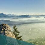 SEIS-Tax-Summary-Guide–400×566