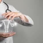 Female,Doctor,Holding,Virtual,Uterus,In,Hand.,Handrawn,Human,Organ,