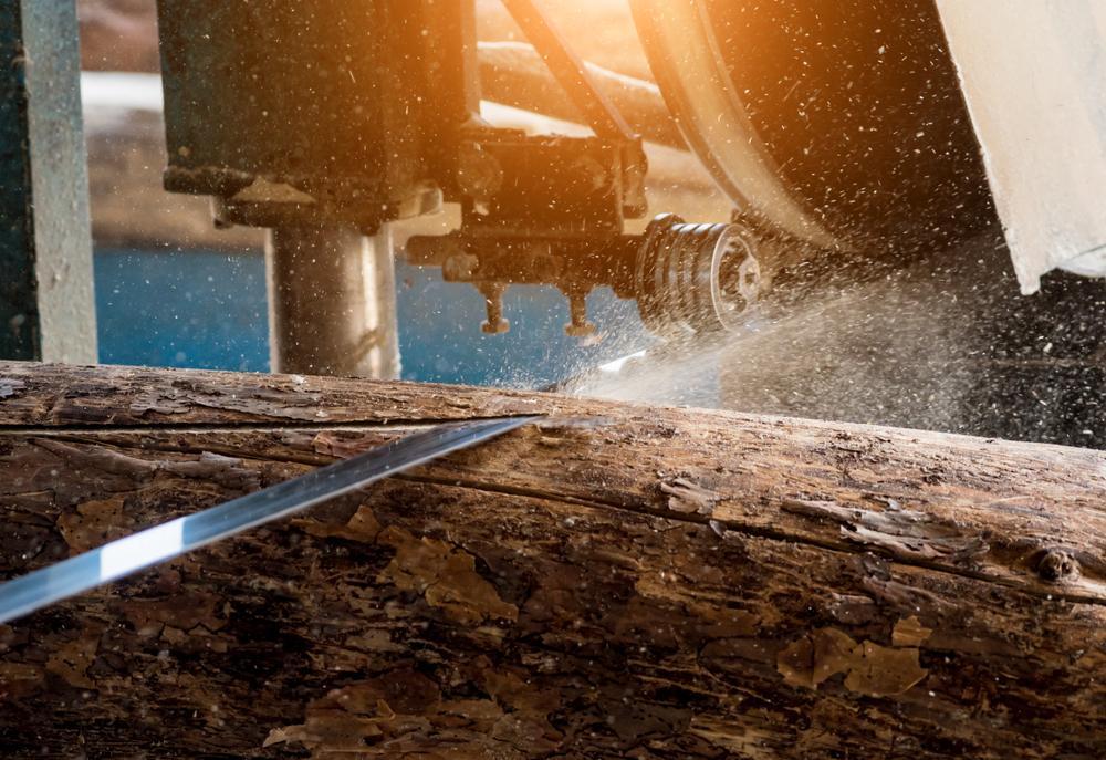 Modern,Sawmill.,Industry,Sawing,Boards,From,Logs UK Investor Magazine