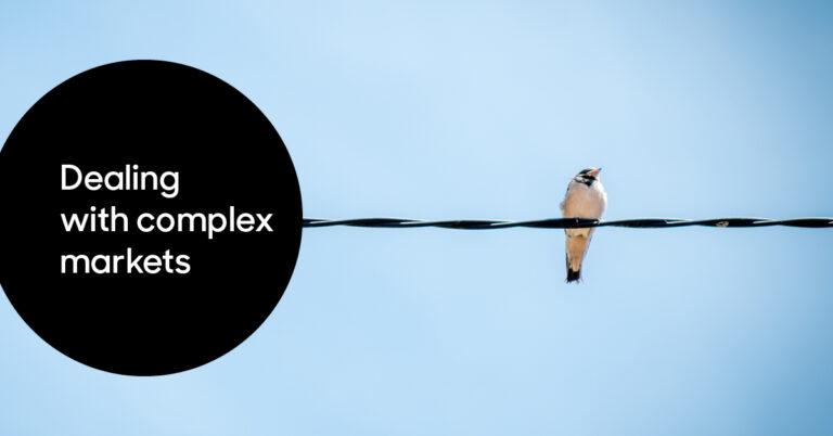 Beyond the noise: dealing with complex markets