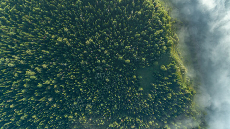 Panther Metals shares tumble after heavily discounted placing