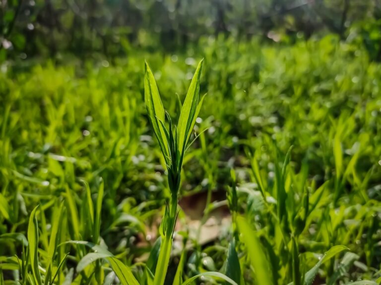 The rise of sustainable consumption among Vietnam’s consumers, small businesses, and corporations