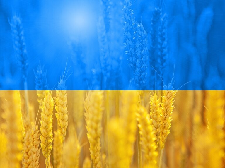 Ukraine’s counteroffensive: it will be arduous and major results yet to come