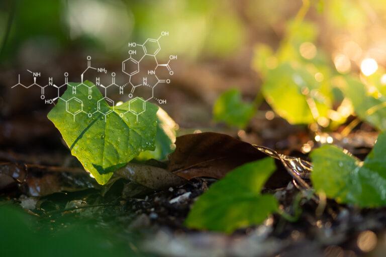 Albion Capital announces £50m fundraise across three VCTs following Autumn Budget