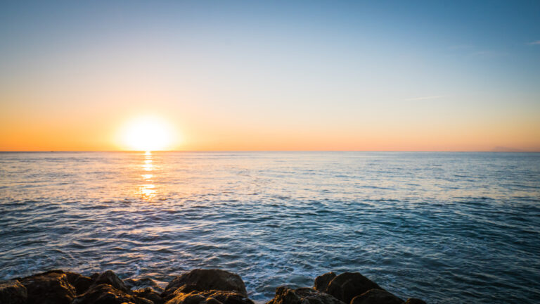 HarbourVest Global Private Equity records fifth consecutive month of positive net cash flow as M&A activity picks up