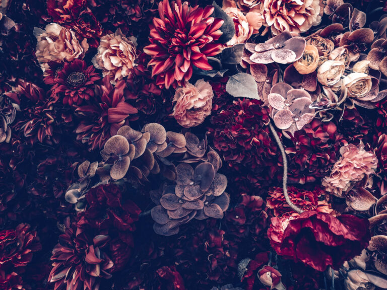 IG Design Group shares halve as customers seek bankruptcy protection