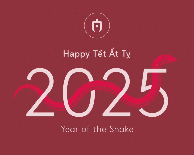 Vietnam Ends 2024 Strong 