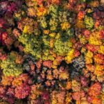 3cd1c669e805829c96d9998a2ca21d29