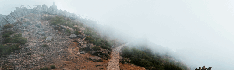 Temple Bar: Lessons learnt from the first five years