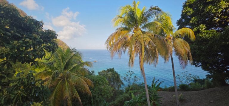 AIM movers: accesso Technology loses client and Touchstone Exploration drilling news