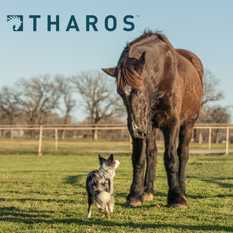 Tharos: Building a New Category in Animal Gut Health, Naturally 
